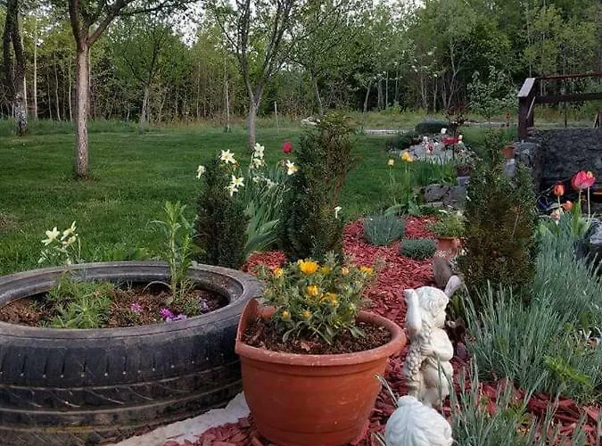 Kuca Za Odmor Marija * Gračac